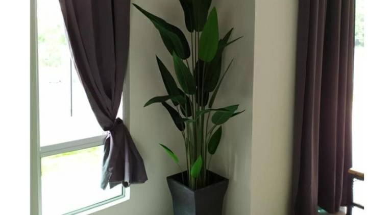 foto22