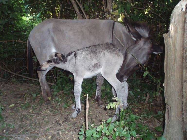 foto19
