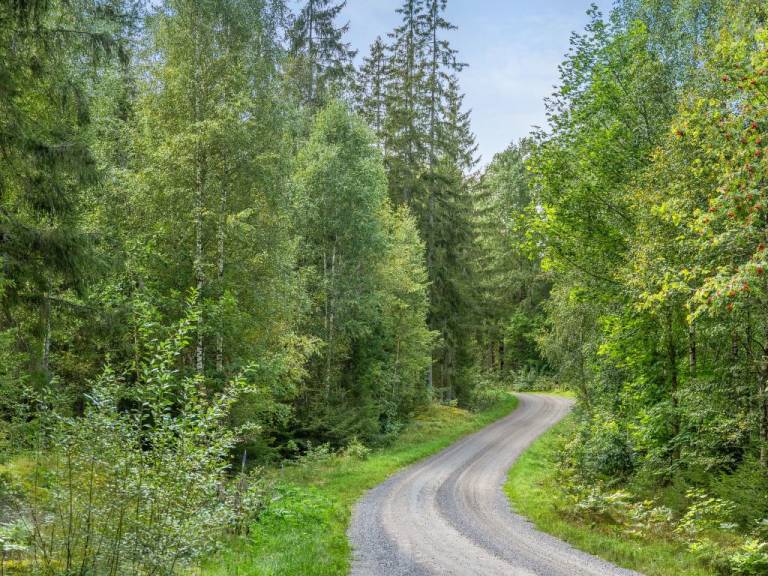 foto29