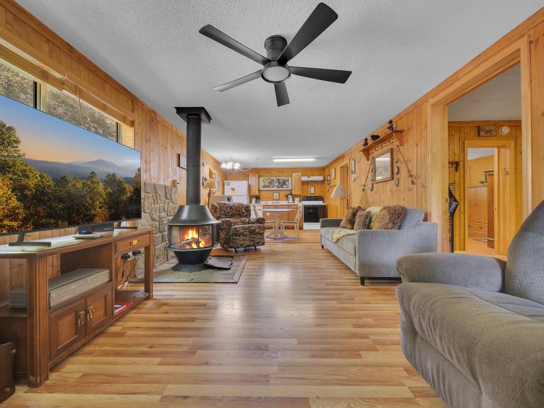 Pet-Friendly Hot Tub Fireplace Game Room — photo 5