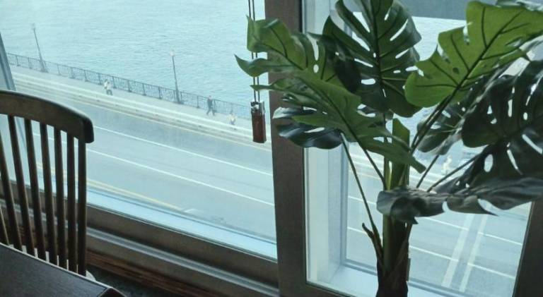 foto34