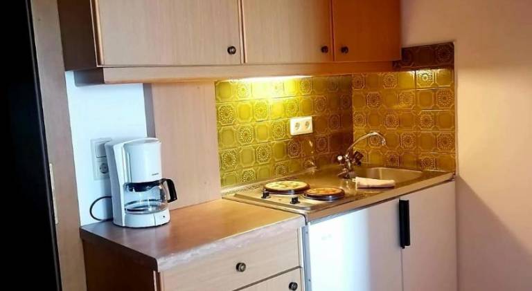 Pleasant serviced apartment with yard | Pet-friendly — photo 5