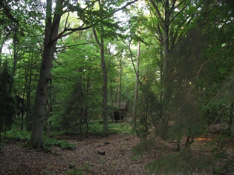 foto14