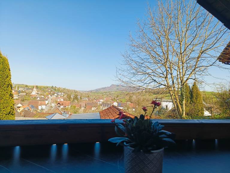 Ferienwohnung Geisingen
