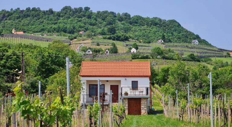 Pleasant vacation home | Pet-friendly in Veszprem