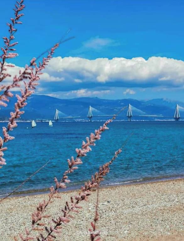 Διαμέρισμα  Panepistimioupoli Patron