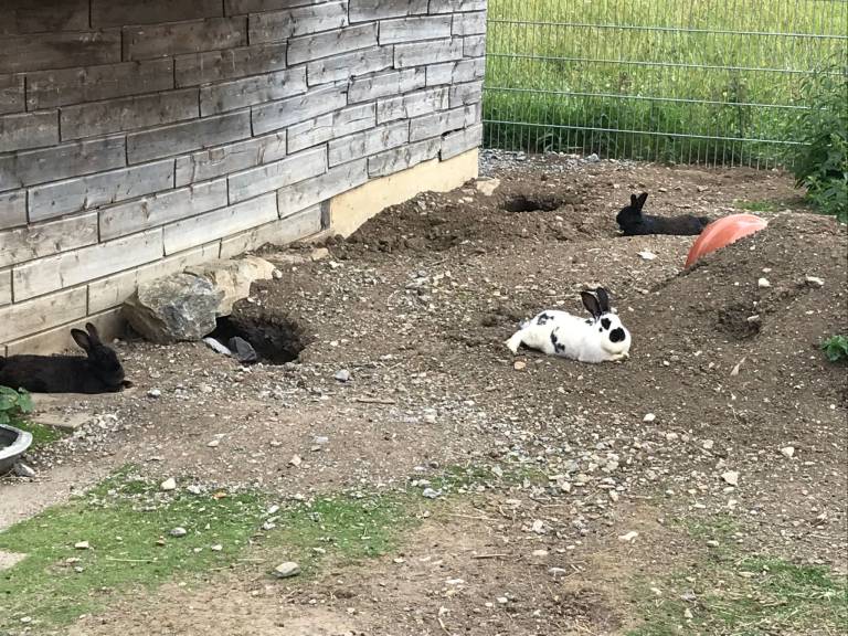 foto15