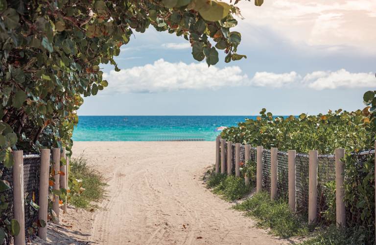 House Hallandale Beach