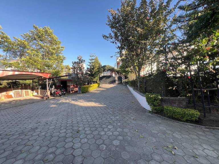 foto40