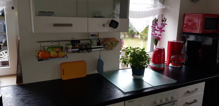 foto17
