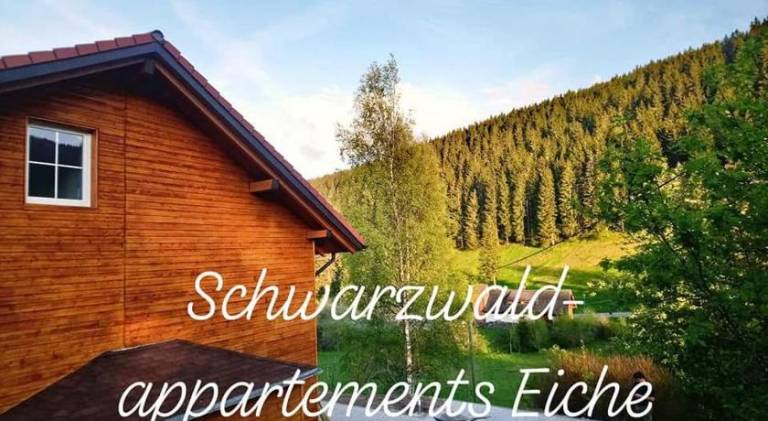 Wonderful holiday apartment with garden, sauna & patio | Pets are welcome in Feldberg