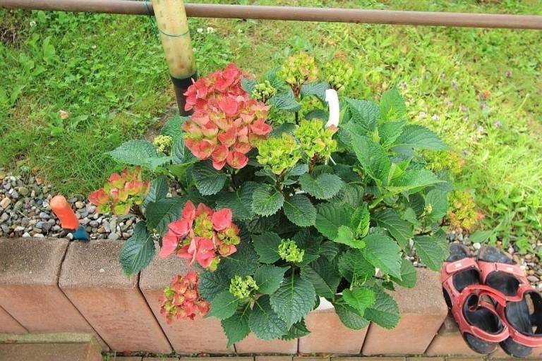 foto34