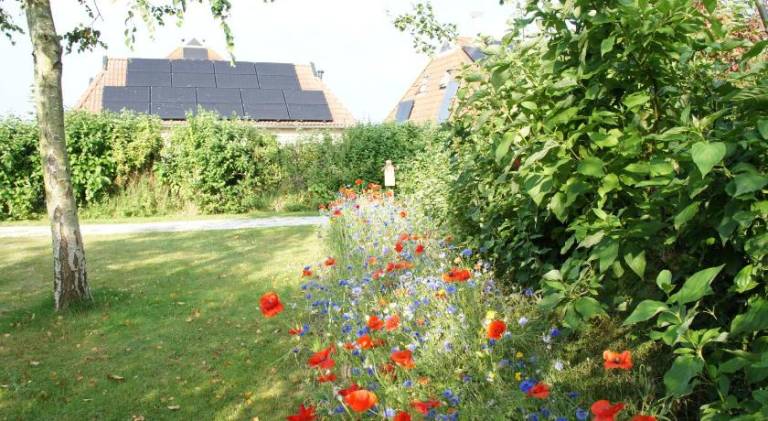 foto31
