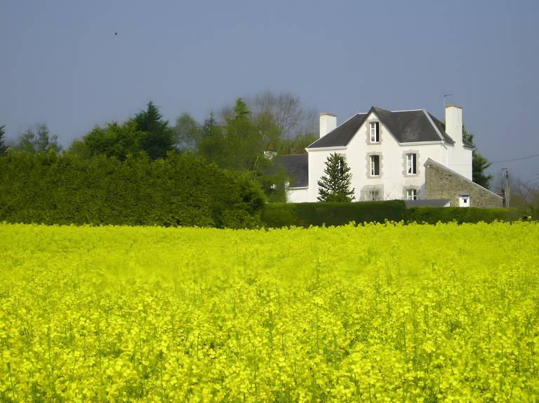 Ferienwohnung in Riec-sur-Bélon f&uuml;r max. 2 Personen am Atlantik