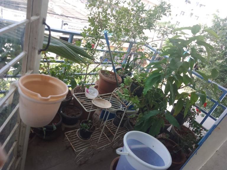 foto1