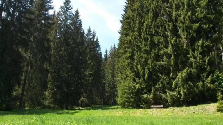foto20