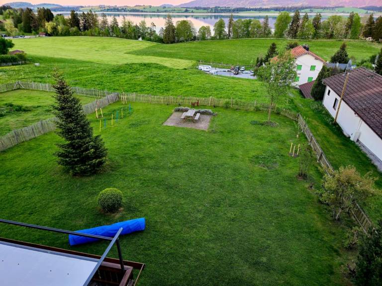foto20