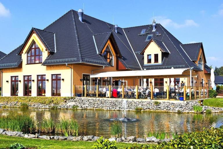 FH Korallenmöwe