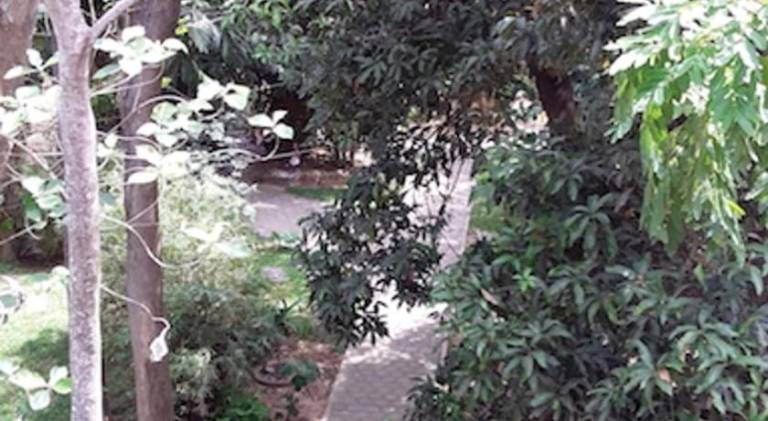 foto48