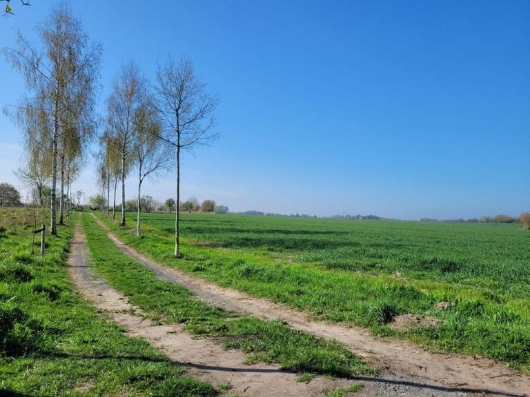 foto28