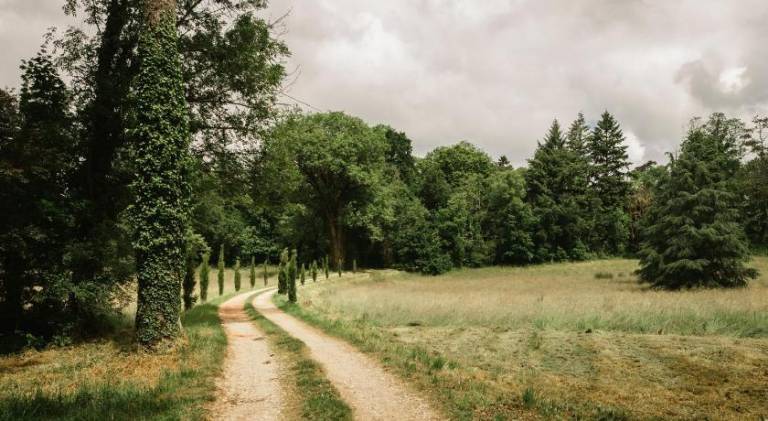 Chateau du Montellier — photo 5