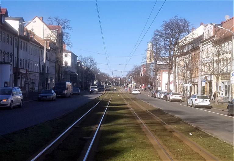 foto19