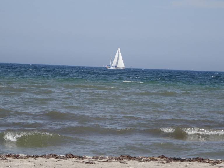 foto22