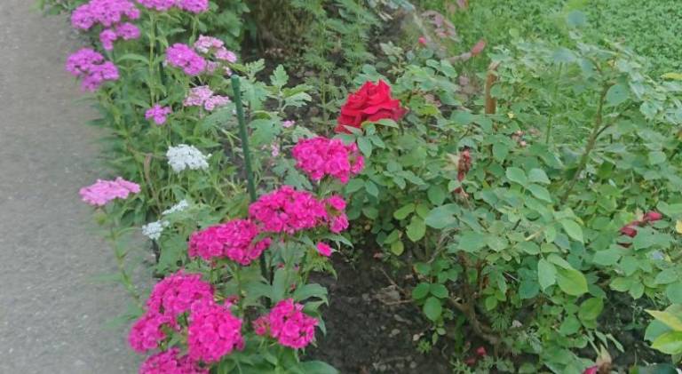 foto22