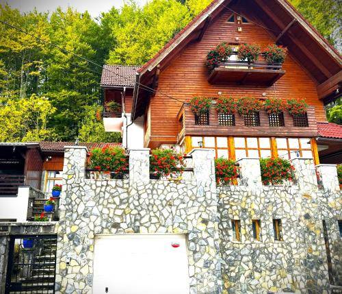 Bed & Breakfast  Sinaia
