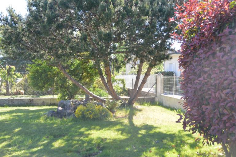 Fully equipped lovely villa with BBQ & garden | City view | Pets allowed — photo 4