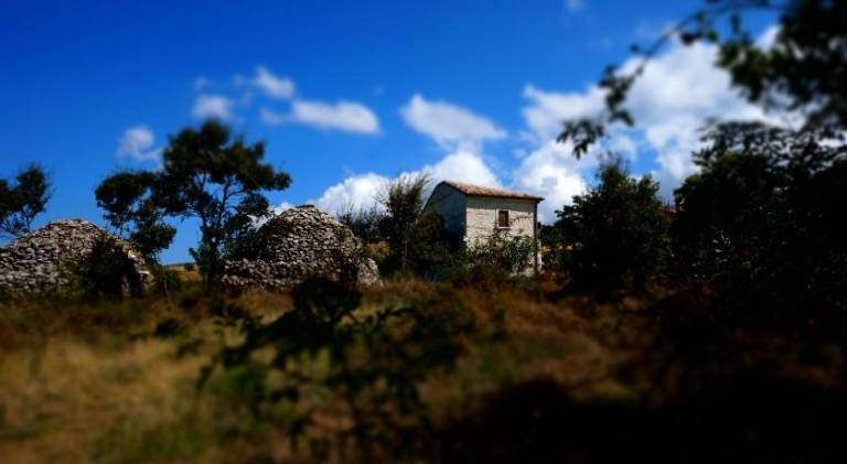 foto16