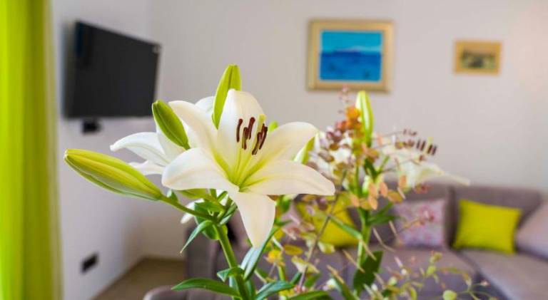 Nice rental apartment with garden & terrace | Next to the beach | Pet-friendly in Podstrana