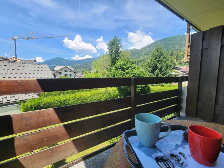 Studio 19m² in Samoëns, 4 people, pets allowed, parking — photo 4