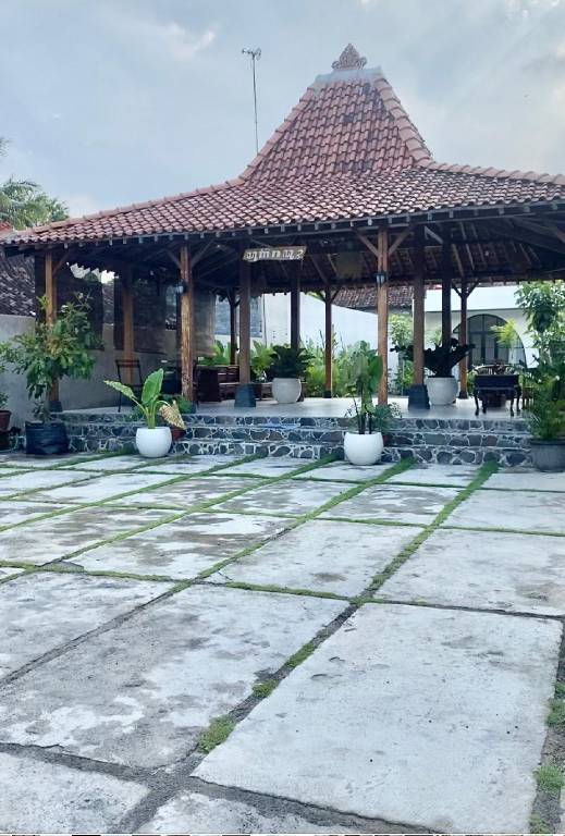 foto7