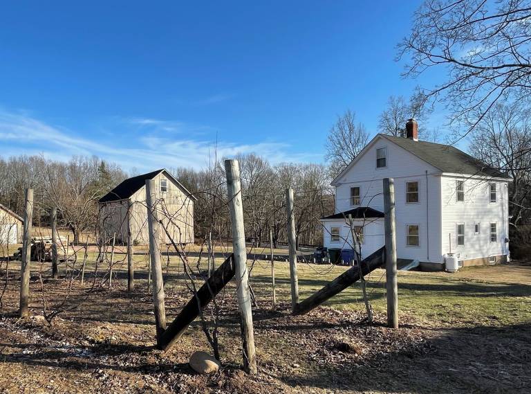 Farmhouse  Glastonbury Center