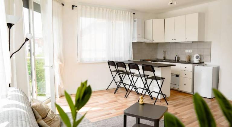 Rental apartment with terrace | Pets allowed in Budapest