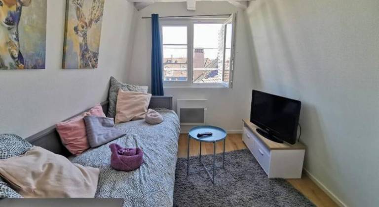 Ferienwohnung Straßburg