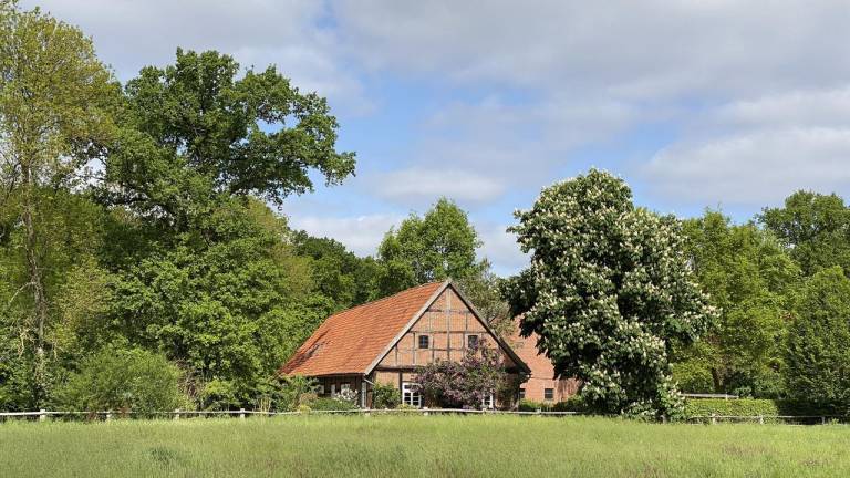 Ferienhaus  Schwarmstedt
