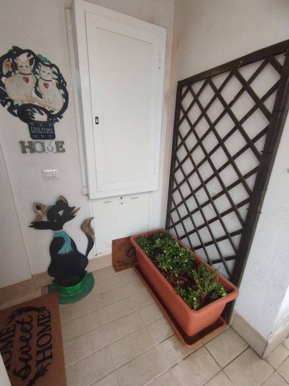 foto42