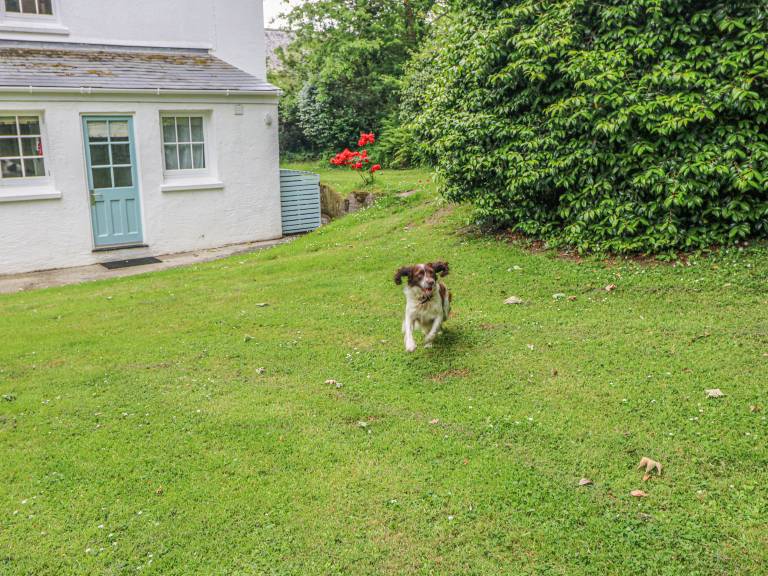 Children-friendly cottage with yard | Pets allowed — photo 4