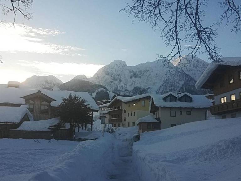 Ferienwohnung Abtenau