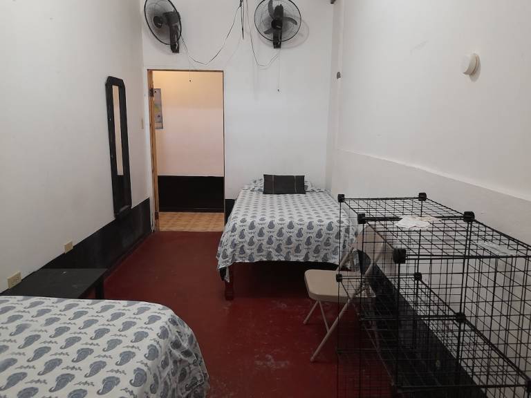 Hostel Jamaica