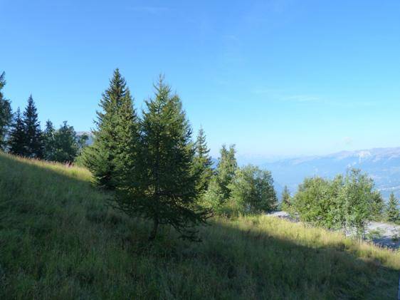 foto14