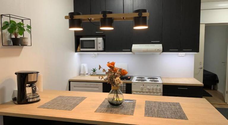 Rental apartment | Pets are welcome in Kemi