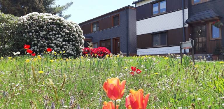 Ferienwohnung Cursdorf