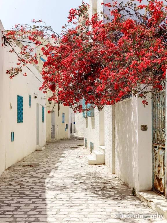Appartement  Sousse