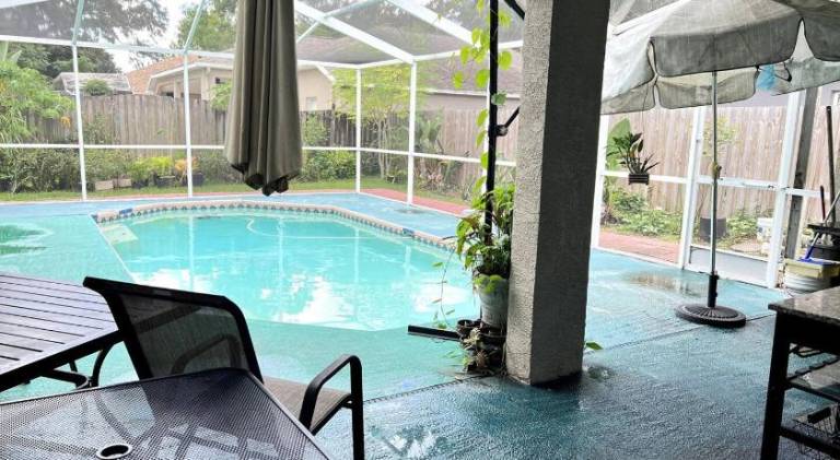Room in citrus park and carollwood close to the airport & downtown