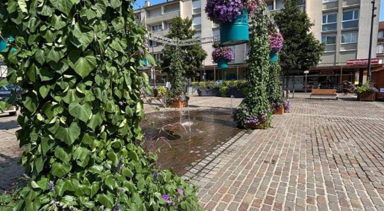 foto20