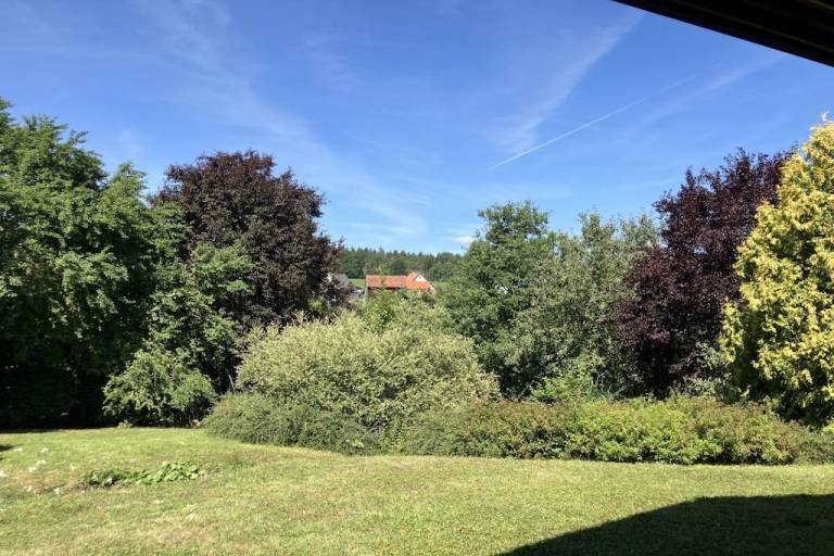 foto1