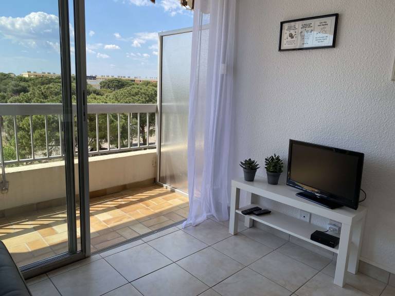 T1 with balcony, air con, wifi, pets OK in Balaruc-les-Bains — photo 2